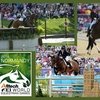 10 интересных фактов о Всемирных конных играх