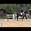 Выступление Карла Хестера и Нип Така на конном фестивале Hartpury