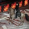 Longines Los Angeles Masters: место встречи конкура, шоу и гламура