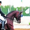 БОЛЬШЕ ВСЕГО ОН НЕ ВЫНОСИЛ ОДИНОЧЕСТВА…