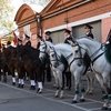 Есть такая профессия - орловского рысака защищать