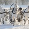 Чемпионат русских троек: начало