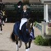 Новости выездки из Флориды: победа Ростроповича и триумф Ларса Петерсена