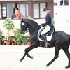 Будущее российской выездки
