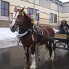 Если Масленица, то в Дивном!