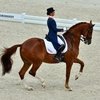 Аделинде Корнелиссен не выступит в финале Кубка мира по выездке