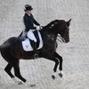 Российские всадники выступят на турнире в Германии