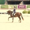 Марина Афрамеева в призах на турнире по выездке в Голландии