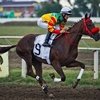 Краснодарский ипподром откроет скаковой сезон