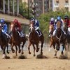 На Центральном Московском ипподроме откроют скаковой сезон!