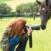 Как фотографировать лошадь. Часть II. Ракурсы