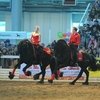 "Иппосфера" встречает гостей!