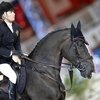 Очередной этап конкурного турнира LGCT пройдет в Каннах