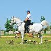 Кавалетти и клавиши – основы основ