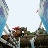 О чем не стоит забывать, отправляясь в полет над препятствием