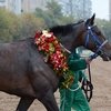 Россия и Франция заключают договор о развитии конной индустрии