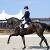 Финал соревнований по выездке прошел в КСК "Дивный"