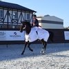 Кульминация конкурного сезона в Maxima Stables 