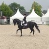 Чемпионат Европы в Аахене. Большой приз. Часть I