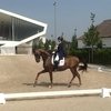 Следим за выступлением российских всадниц в Переездке Большого приза