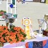 Соревнования по конкуру на кубок компании «ПЕЛИКАН-АВТО»