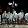 Конное шоу Cheval Passion во Франции 