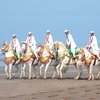 Ларью Алан: Tour du monde