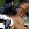 CSIO 5* St. Gallen, Швейцария