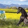 Кэмпс Санти Серра: Заклинатель свободы
