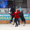 Выставка "Конная Россия" в Maxima Stables