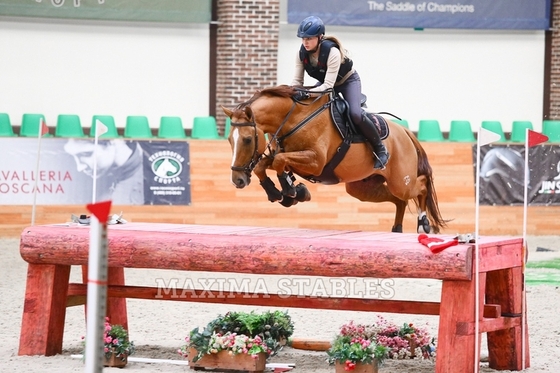 Кубок Победы по троеборью в помещении, Maxima Stables
