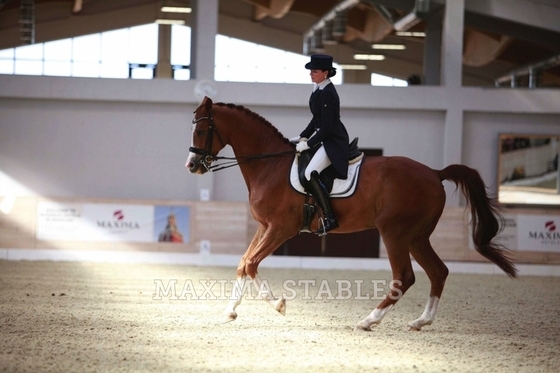Учебно-тренировочные сборы по выездке, Maxima Stables