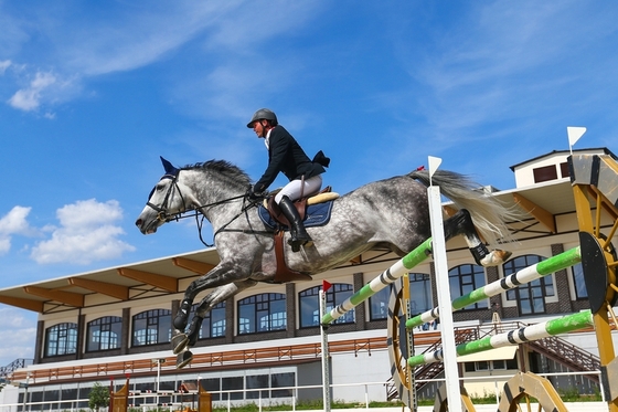 Кубок России по конкуру и международные соревнования CSI/J/Ch, Maxima Stables