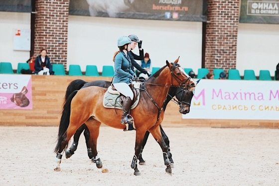 Учебно-тренировочные сборы по конкуру с Владимиром Белецким, Maxima Stables