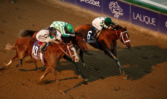 Breeders Cup, праздник с оттенком грусти