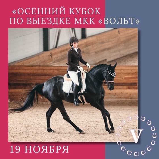 Осенний кубок по выездке МКК «ВОЛЬТ»