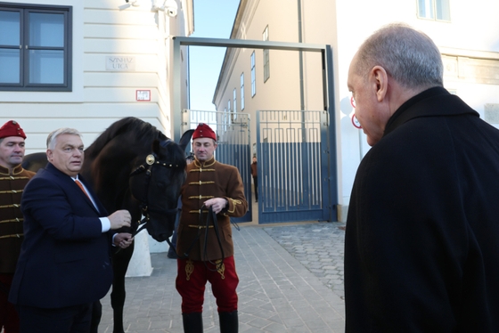 Виктор Орбан подарил коня Эрдогану