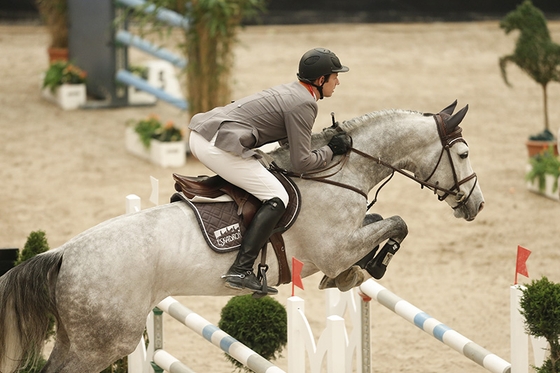 PARTNER PFERD LEIPZIG 2014