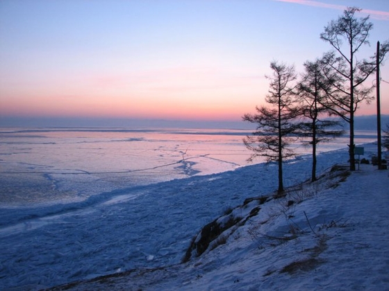 384 коня на берегу Байкала