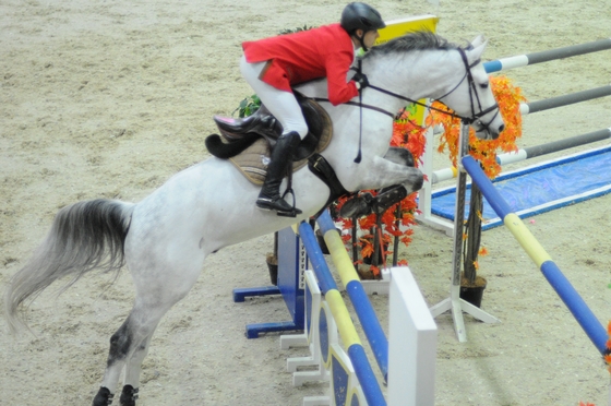 Международный турнир по конкуру CSI2*/CSIYH1* в НКП "Русь"