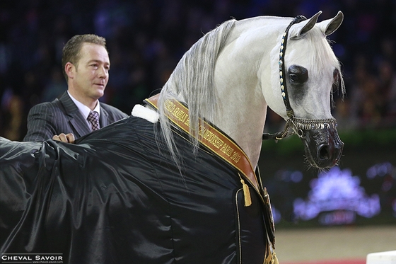 Salon du Cheval de Paris 