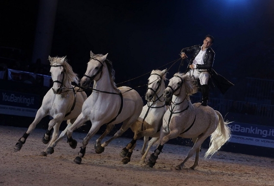 Fieracavalli 2014