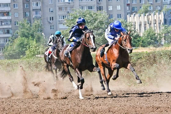 Закрытие скакового сезона 2014 на Ростовском ипподроме