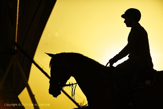 CHI Al Shaqab