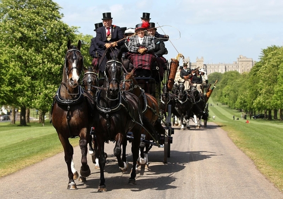 Royal Windsor Horse Show