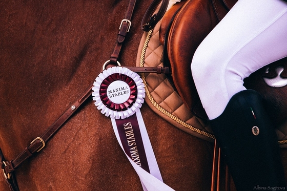 Семинар с Хольгером Хетцелем пройдет в Maxima Stables