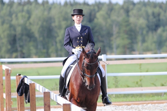 Финал Кубка Maxima Stables по выездке прошел в Подмосковье