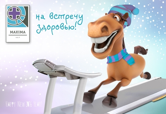 Полезные каникулы от MAXIMA VET