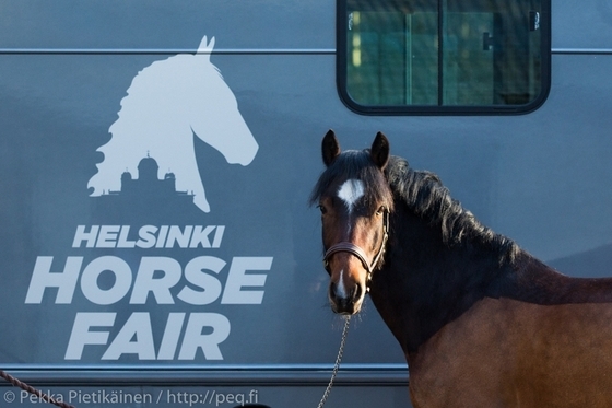 Helsinki Horse Fair 