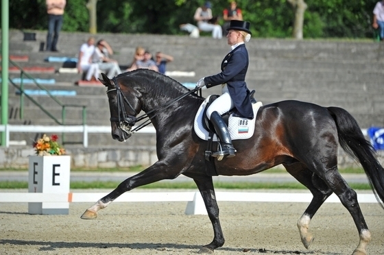 Турнир по выездке CDI4*, Фритценс-Шиндорф, Австрия